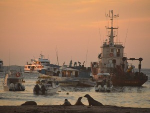 Кинески бродови се примакли Галапагосу, морнарица Еквадора у приправности