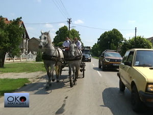 Црепаја - од јабука коњак, од лешника уље