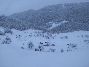 Раичевићи одсечени од света на Пештери, деца ће у школу морати на коњима ако им општина не помогне