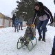 Једна улица, две породице, четрнаесторо деце