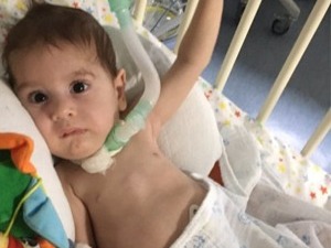 Мали Оливер примљен у болницу у Будимпешти