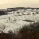 Савет ратарима и воћарима – како сачувати биљке од променљивих временских прилика