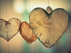 Димитрије Коканов: Летачи