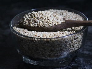Сусам из Индије враћен са српске границе