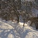 Мећава оставила Црну Траву без струје и телефонских веза, проглашена ванредна ситуација