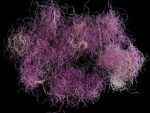 Откривена љубичаста боја из периода библијског краља Давида