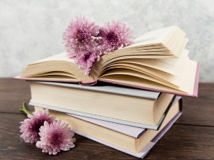 Авдија Салковић о Пејамију Сафи и Сташа Арас