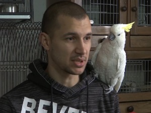 Поморавско царство папагаја Стефана Швабића