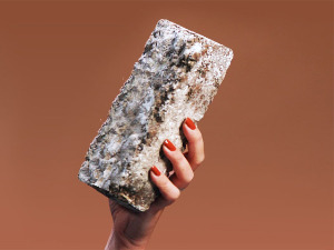 Једног дана, наше куће би могле бити направљене од печурака