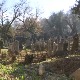Старо гробље у Нишу очишћено од растиња и отпада, план да се направи меморијални комплекс