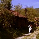  1001 Траг - Ја млад пијем ноћи - Недељко Билкић 