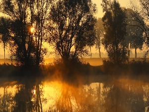 Ритам раног јутра