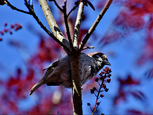 Имагинарни пејзажи