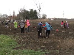 Банат је најнепошумљенији део Србије, али и Европе