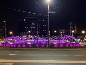 Београд светли бојама које симболишу борбу против ретких болести
