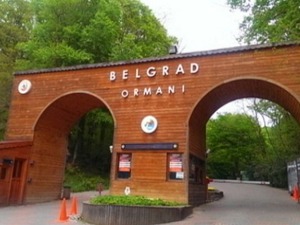 Ко су потомци Београђана које је Сулејман Величанствени пре пет векова одвео у Истанбул