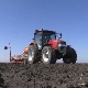 Зашто је "икона" сорта пшенице која одолева климатским променама