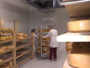 Зорица Радишић – мајка, домаћица и носилац пољопривредног газдинства