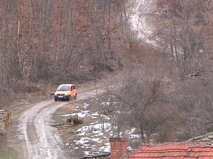 Јовичићи су Београд заменили за Трнов Лаз, надају се да ће и други да виде да планина још увек живи