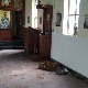 Епархија рашко-призренска забринута због серије провала у храмове на КиМ