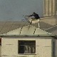 Мартовски погром урезан у животе људи