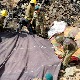 Погођен хеликоптер војске у Авганистану, девет погинуло