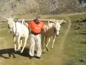 Спорт и разонода