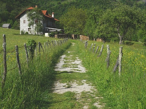  1001 Траг - Сврати девојко у мој виноград - Дует Танасијевић 