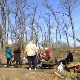 Грађани Бачке Паланке не одустају од своје борбе – да ли је прекршена декларација о забрани сече шума