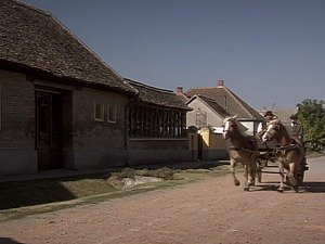  1001 Траг - Купила ми нана моја - Анђелка Говедаровић 