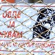 Нови случај напада паса, ротвајлери изуједали власника код Варварина