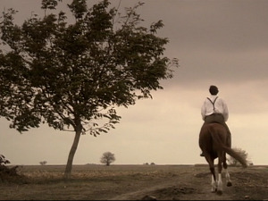  1001 Траг - Не тражим ништа од живота свог - Чеда Марковић 