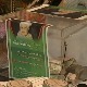 Родитељи болесне деце боре се и са преварантима, који се нису устручавали ни од појаве у медијима