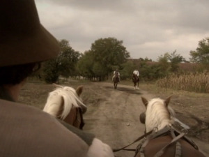  1001 Траг - Гине вене срце у меника - Вера Ивковић 