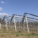 Сви траже јабуке из Левча – у чему је тајна