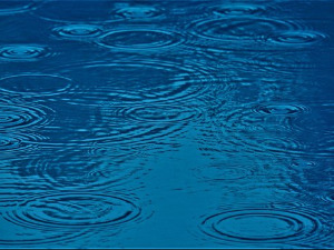 1001 Траг - Кишо тихо падај - Мерима Његомир