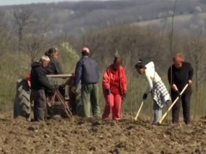 Maнојловићи решили да се врате из Париза у село код Неготина, шта их је вукло у домовину