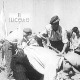 Нови Београд од мочваре и дине са птицама до модерног европског града 