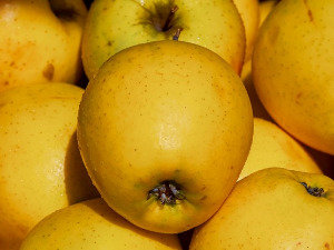 Од злата јабука