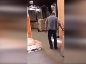 Кајгана од свих јаја