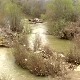 Јужна Морава опет је "тужна" – њоме плутају флаше, гуме и други отпад