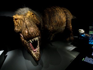 Две и по милијарде тираносауруса је ходало Земљом