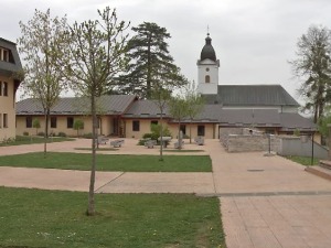 „Петница опен“ – онлајн семинар за све љубитеље науке