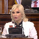 Михајловић: Испитаћемо проблеме у изградњи малих хидроелектрана