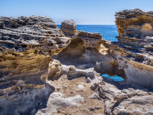 У епохи антропоцена човек  је највећа сила