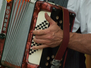  1001 Траг - Хармонико моја - Добривоје Топаловић 