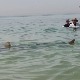 Пливање са ајкулама у топлим водама Хадере