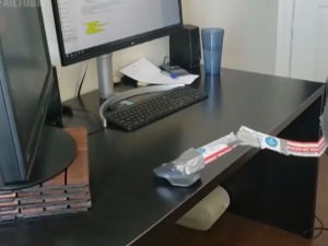 Радник месеца