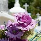 Број преминулих почетком ове године већи око 29 одсто него у исто време прошле године
