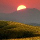 "Србија отворена канцеларија" – прилика да дигитални номади споје посао и одмор